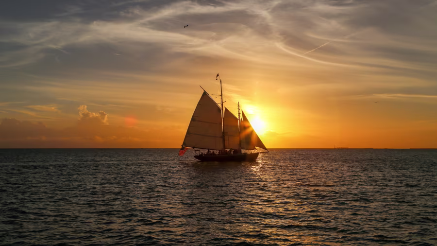 nicole-chen-hvarYahLAxc-unsplash